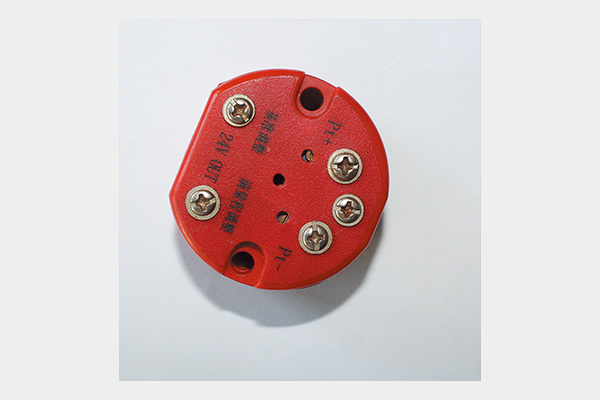 熱(rè)電(diàn)阻溫度變送器(qì)4.jpg