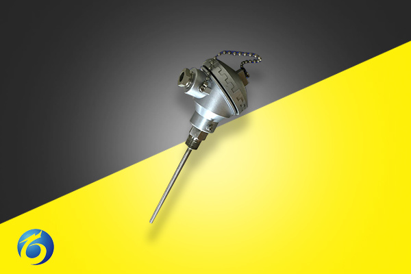 铠裝防爆 防水(shuǐ) 耐磨高(gāo)溫爐反應爐管道(dào)水(shuǐ)槽傳感器(qì)